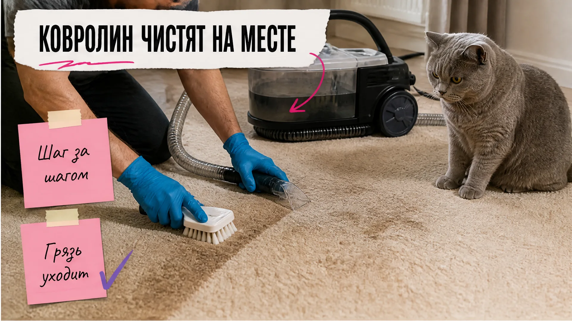 Руки специалиста очищают ковролин щёткой и моющим аппаратом, кот наблюдает