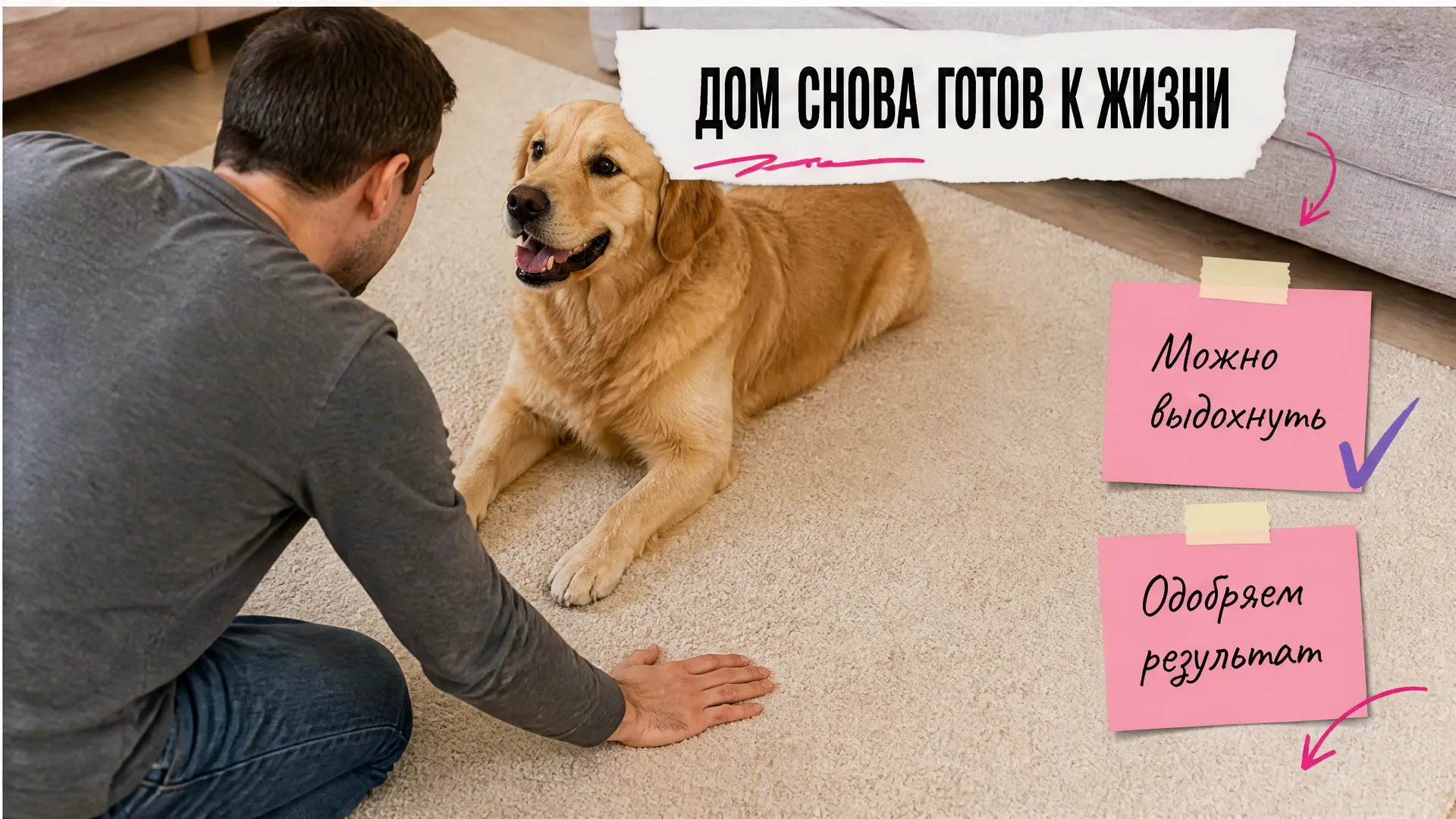 Хозяин гладит чистый ковролин, рядом довольный золотистый ретривер