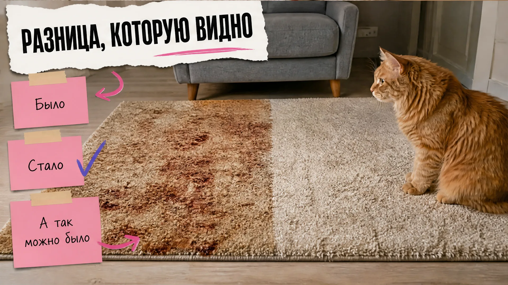 Один ковёр показан до и после чистки, рыжий мейн-кун удивлённо смотрит на результат