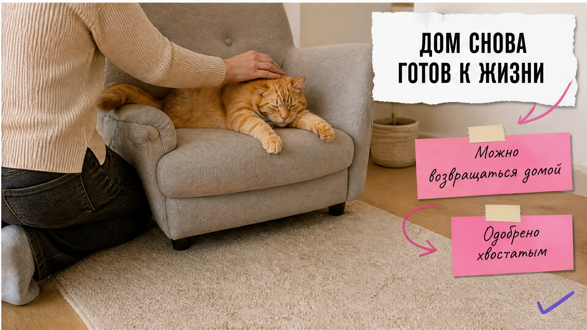 Хозяин гладит чистое кресло, а довольный рыжий кот отдыхает рядом с ковром