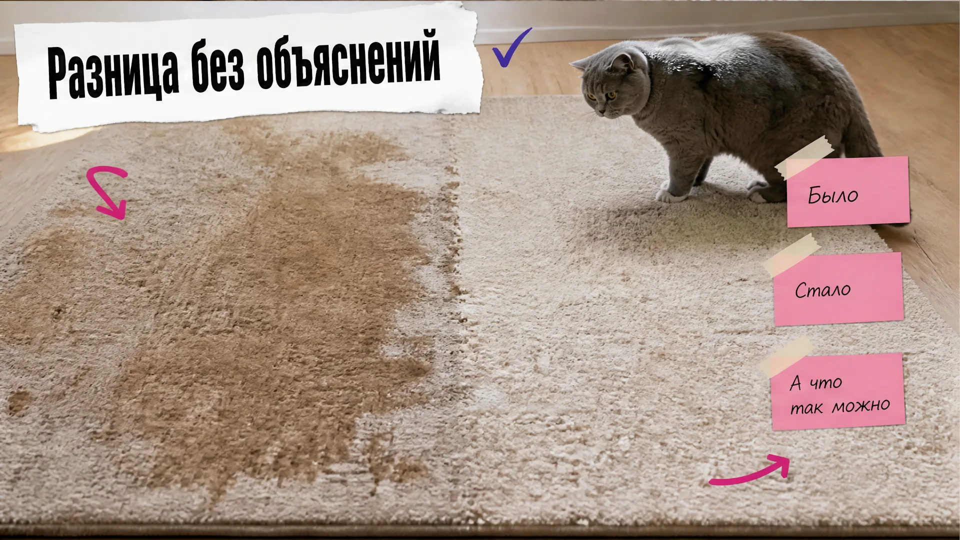 Один ковёр разделён на загрязнённую и очищенную части, рядом удивлённый кот