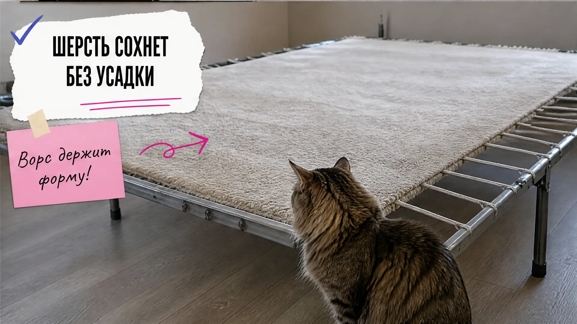 Шерстяной ковёр сохнет на растяжке, рядом сидит сибирская кошка.