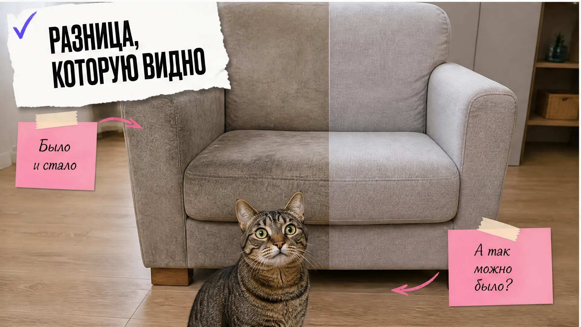 Кресло до и после чистки, полосатый кот удивлён результату
