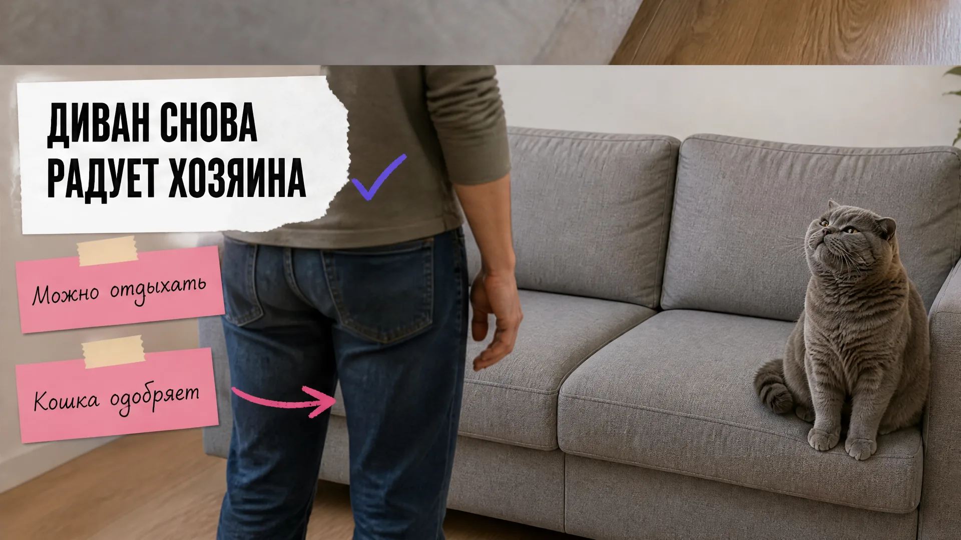 Хозяин и довольная британская кошка рядом с чистым диваном
