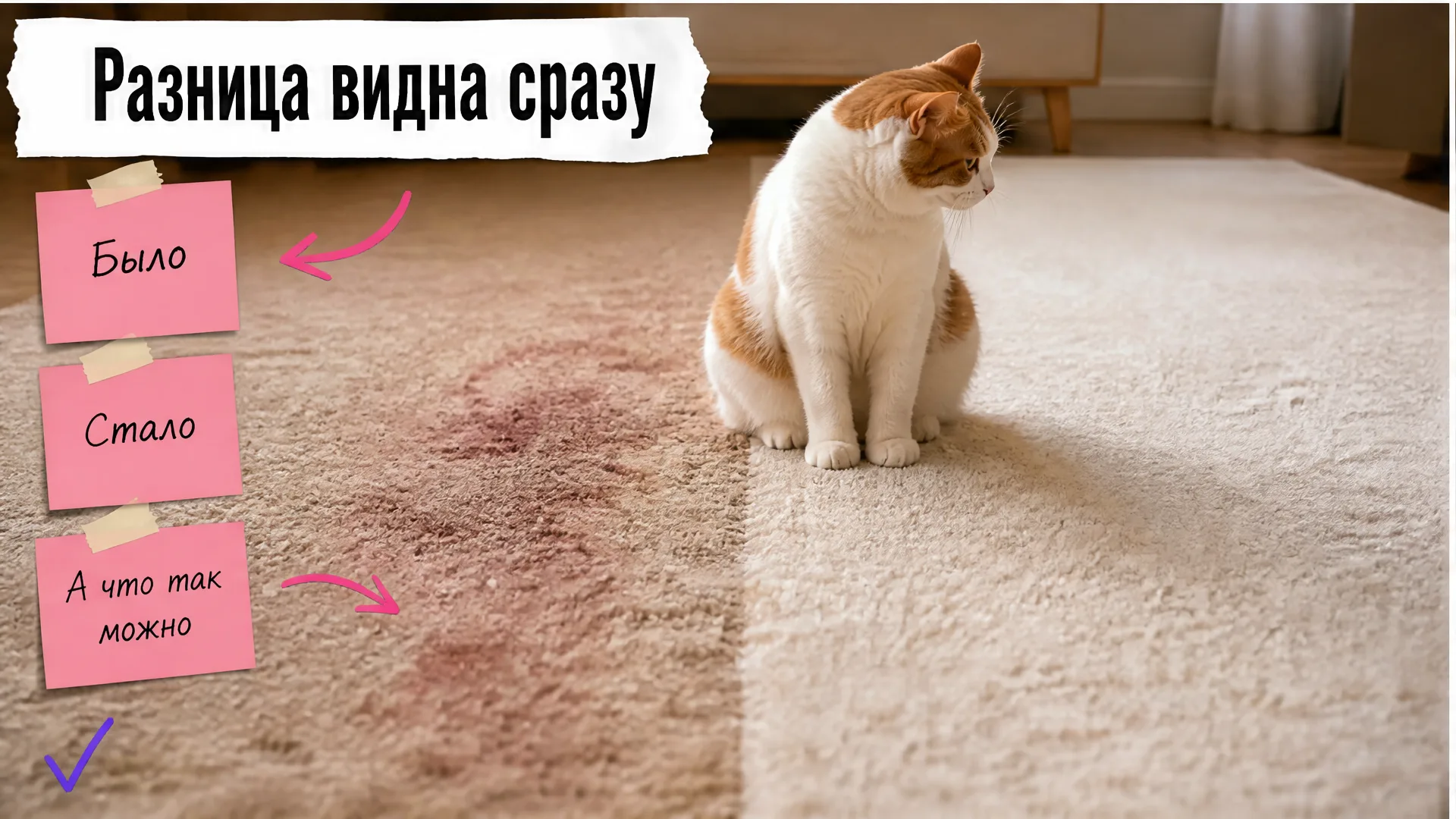 Разделённый ковёр показывает загрязнённую и очищенную половины, кот смотрит на результат